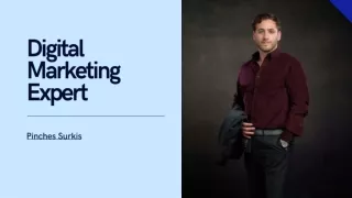 Digital Marketing Expert - Pinches Surkis