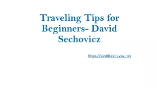 Traveling Tips for Beginners- David Sechovicz