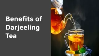Benefits of  Darjeeling Tea_ Kombucha Kamp