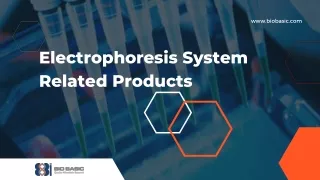 A Reliable Portal for Electrophoresis System Related Products