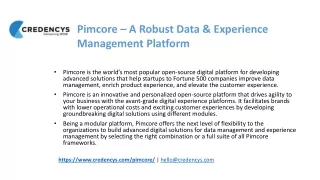 pimcore a robust data experience management