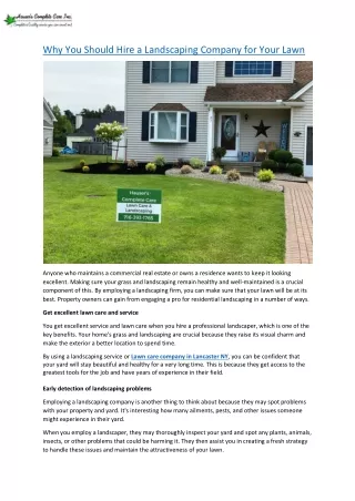 Why You Should Hire a Landscaping Company for Your Lawn