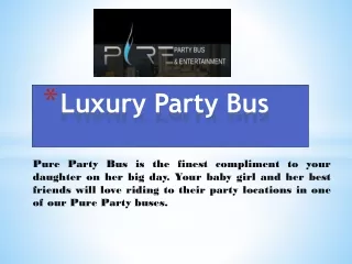 Luxury Party Bus