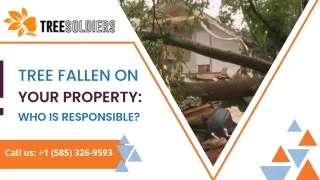 Tree Fallen On Your Property Who Is Responsible - Tree Soldiers Rochester