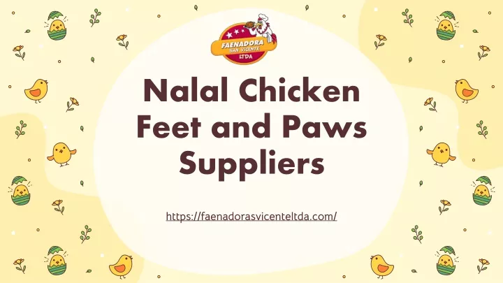 nalal chicken feet and paws suppliers
