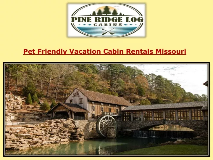 pet friendly vacation cabin rentals missouri