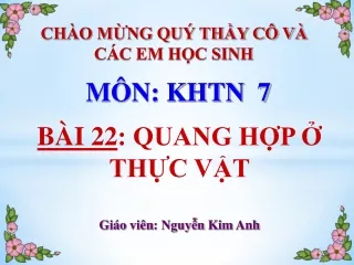 Bài giảng Khoa học tự nhiên 7 - Bài 22: Quang hợp ở thực vật