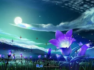 Bài giảng Ngữ văn 6 - Bài 12: Số từ và lượng từ