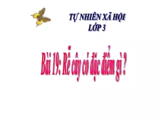 t nhi n x h i l p 3