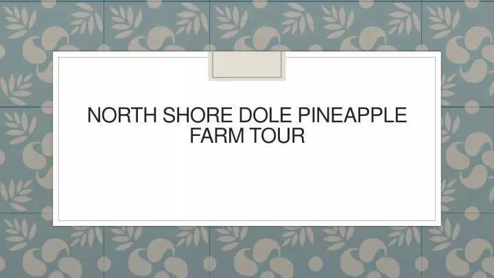 north shore dole pineapple farm tour