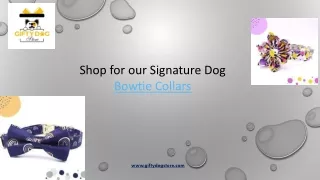 Dog Harness And Leash Set | Gifty Dog Store