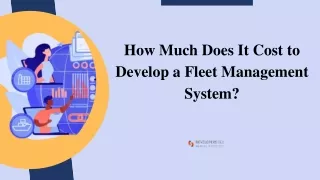 How Much Does It Cost to Develop a fw System