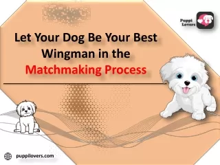 Let Your Dog Be Your Best Wingman in the Matchmaking Process