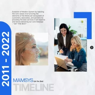 Mamsys Timeline