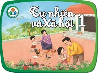 Bài giảng Tự nhiên và xã hội 1 - Bài 16: Cây và con vật quanh ta
