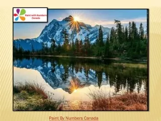 paint by numbers canada