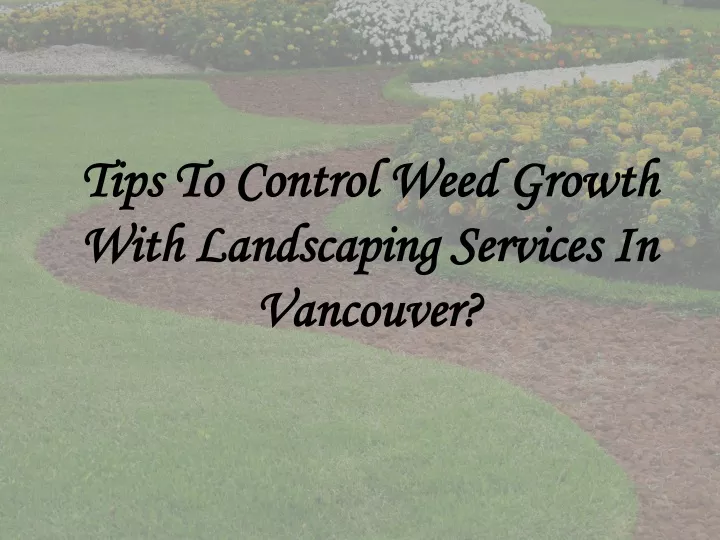 tips to control weed growth with landscaping services in vancouver
