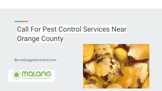 Call For Pest Control Services Near Orange County