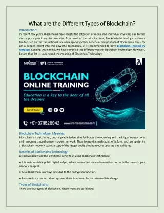 what are the different types of blockchain what