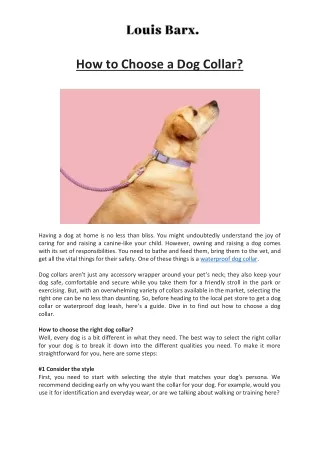 How to Choose a Dog Collar Louis Barx