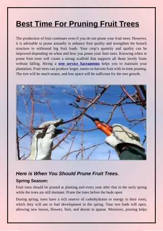 Best Time For Pruning Fruit Trees