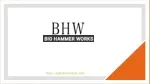 Green Coffee Beans Suppliers in India - Bighammer India - slide 1
