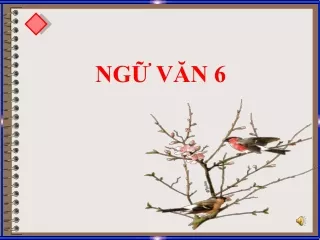 Bài giảng Ngữ văn 6 - Văn bản: Xem người ta kìa