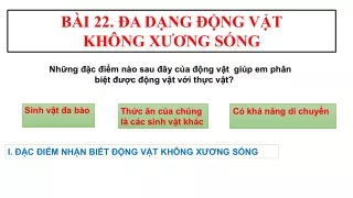 Bài giảng Khoa học tự nhiên Lớp 6 - Bài 22: Đa dạng động vật không xương sống