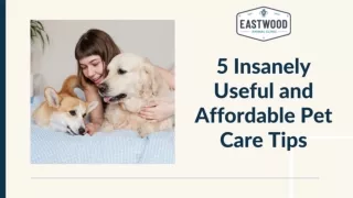 5 Insanely Useful and Affordable Pet Care Tips
