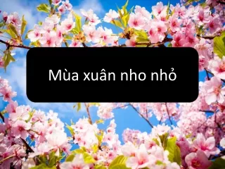 Bài giảng Ngữ văn Lớp 9 - Bài 23: Mùa xuân nho nhỏ