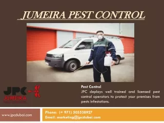 Best Pest Control Companies in Dubai