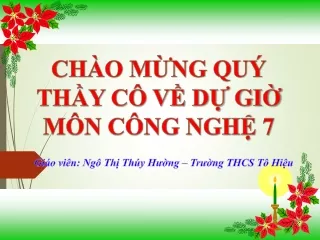 Bài giảng Công nghệ Lớp 7 - Bài 25: Thực hành gieo hạt và cấy cây vào bầu đất