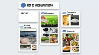 Bài giảng Hóa học 9 - Bài 10: Một số muối quan trọng