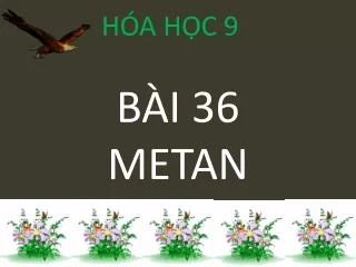 h a h c 9