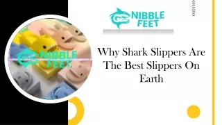Why Shark Slippers Are The Best Slippers On Earth