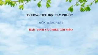 Bài giảng Tiếng Việt Lớp 1 - Vinh và chiếc gối mèo