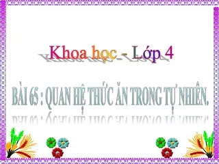 Bài giảng Khoa học 4 - Bài 65: Quan hệ thức ăn trong tự nhiên