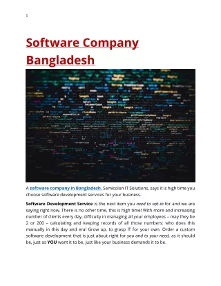 Software Company in Bangladesh - Semicolon IT Solutions