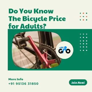 Do You Know The Bicycle Price for Adults_ _ Gro Club