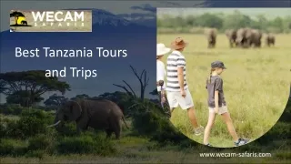 Best Tanzania Tours and Trips