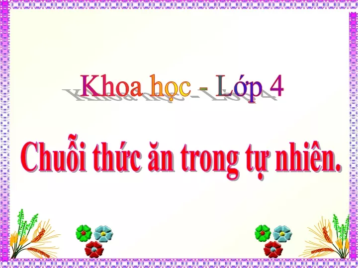 PPT - Bài Giảng Khoa Học 4 - Bài 66: Chuỗi Thức ăn Trong Tự Nhiên ...