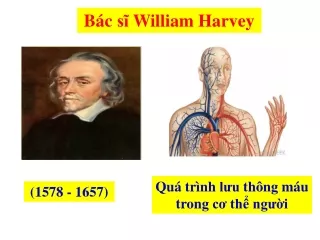 Sinh học lớp 11 - Bài 18 - Tuần hoàn máu P2