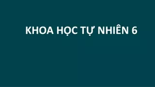 Bài giảng Khoa học tự nhiên 6 - Bài 1: Mở đầu