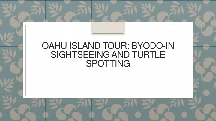 oahu island tour byodo in sightseeing and turtle