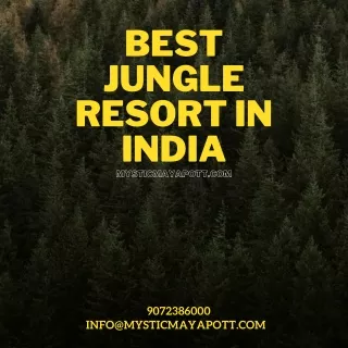 Best Jungle Resort In India