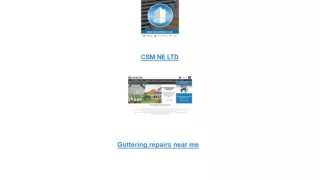 CSM NE LTD