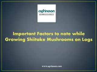 important factors to note while growing shiitake