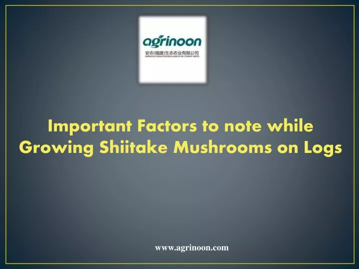 important factors to note while growing shiitake