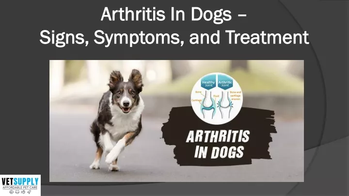 arthritis in dogs signs symptoms and treatment