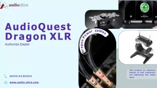 Looking for Authorize AudioQuest Dragon XLR Dealers